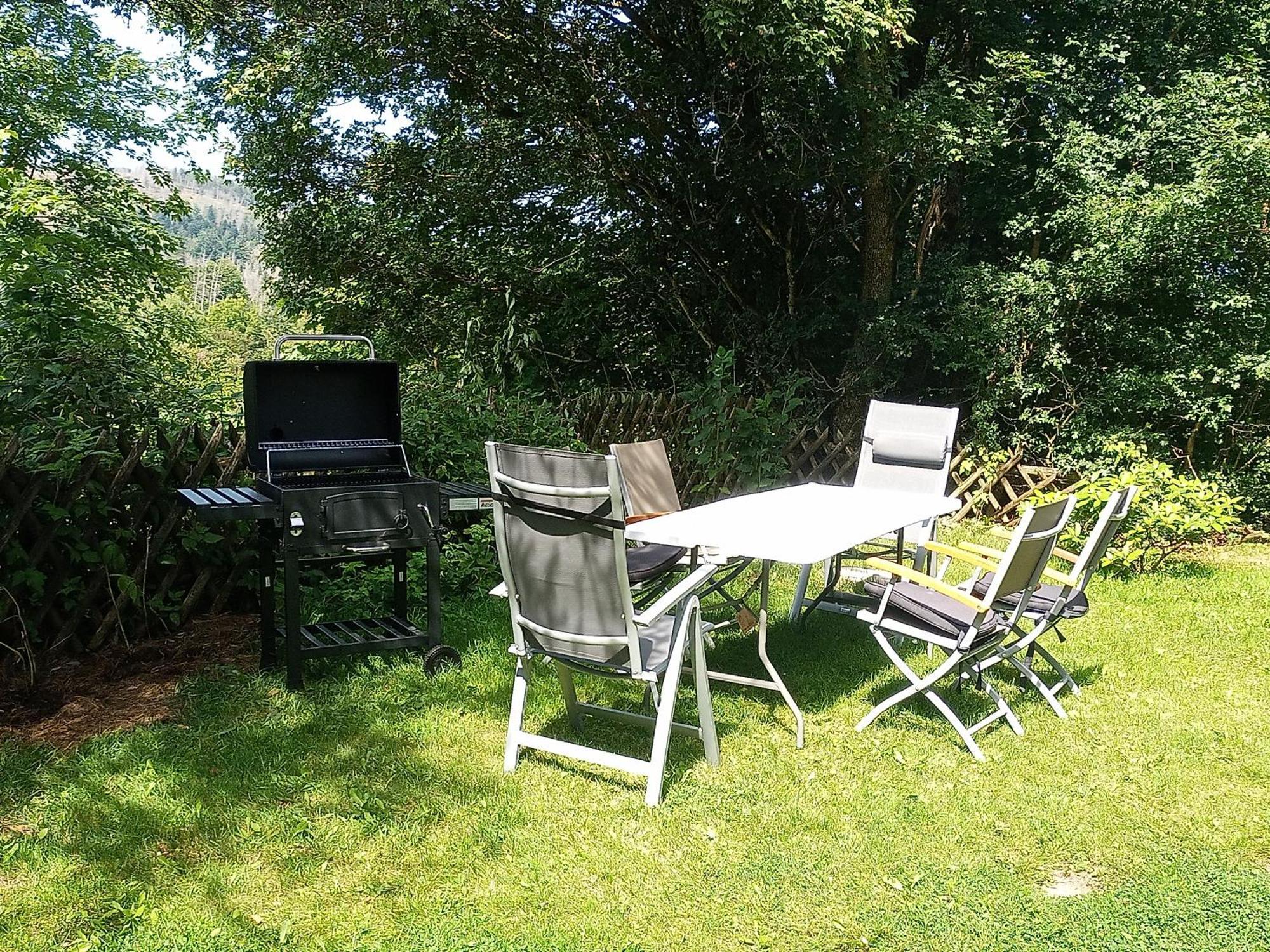 Ferienwohnung Endora Im Harzer Stil, Handgefertigte Moebel - Wlan-Garage Hohegeiss Exterior photo